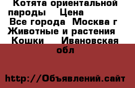 Котята ориентальной пароды  › Цена ­ 12 000 - Все города, Москва г. Животные и растения » Кошки   . Ивановская обл.